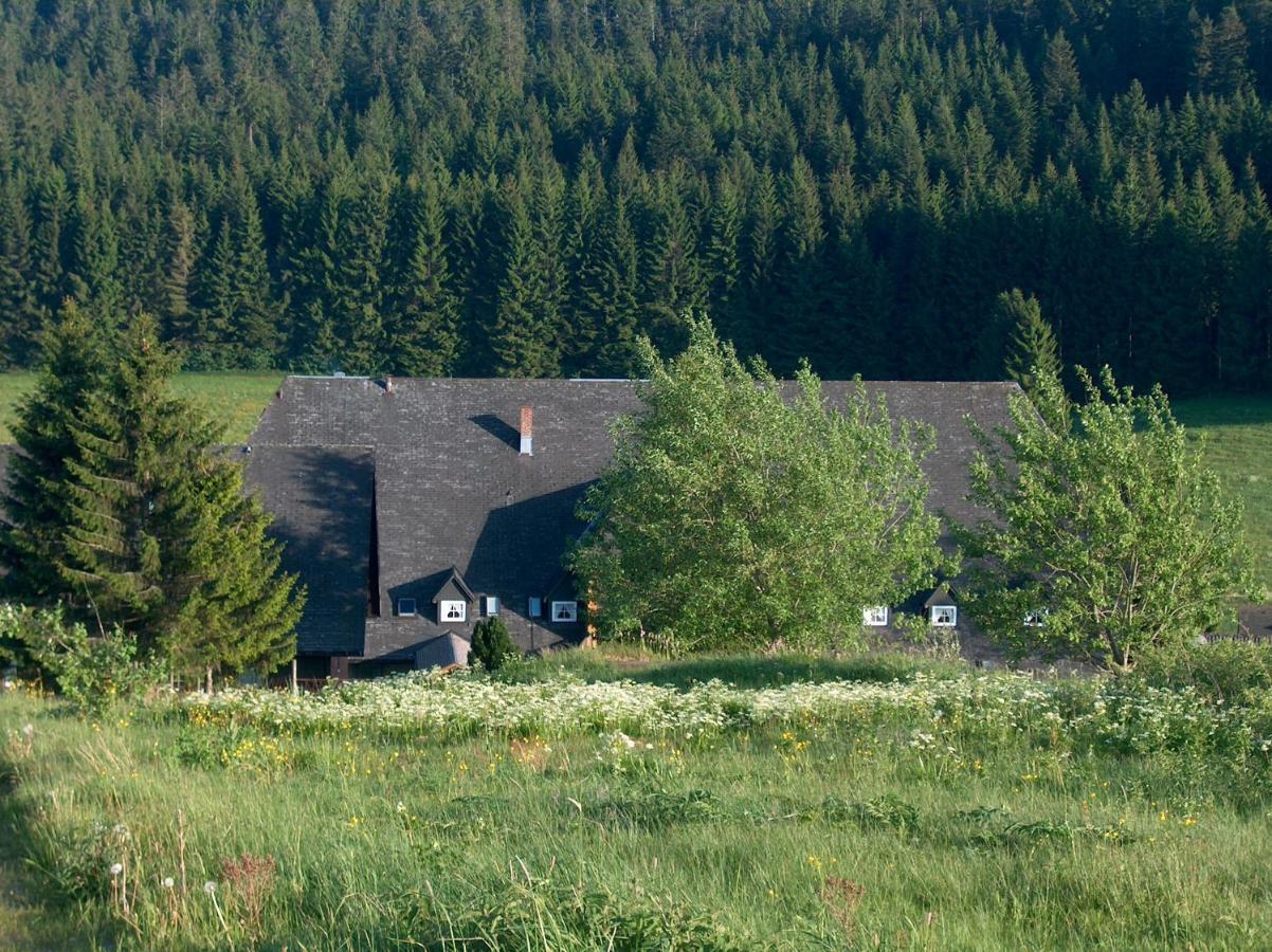 Zur Traube Schwarzwaldhotel & Restaurant Am Titisee Sankt Märgen エクステリア 写真