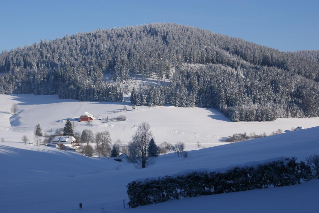 Zur Traube Schwarzwaldhotel & Restaurant Am Titisee Sankt Märgen エクステリア 写真