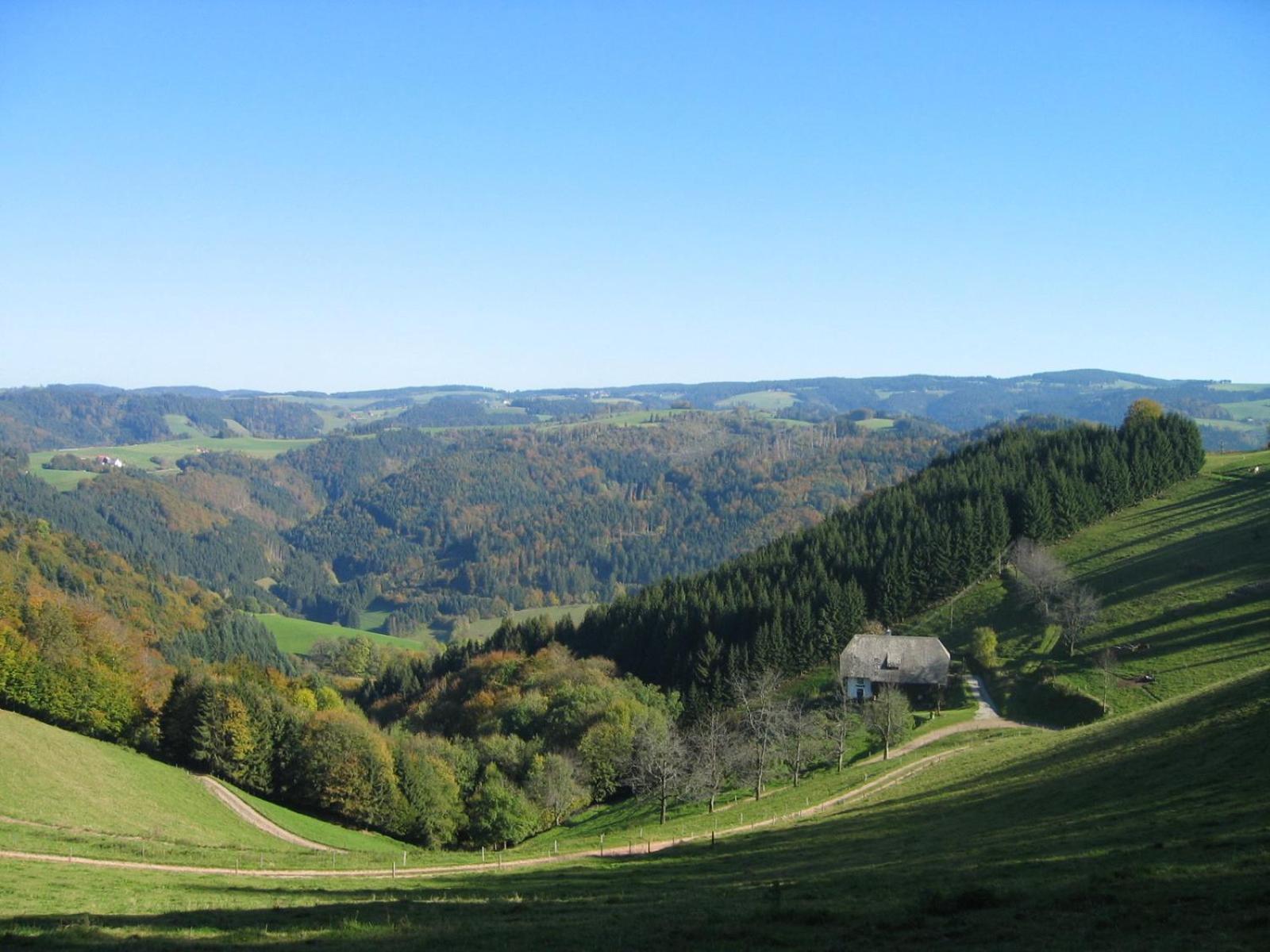 Zur Traube Schwarzwaldhotel & Restaurant Am Titisee Sankt Märgen エクステリア 写真