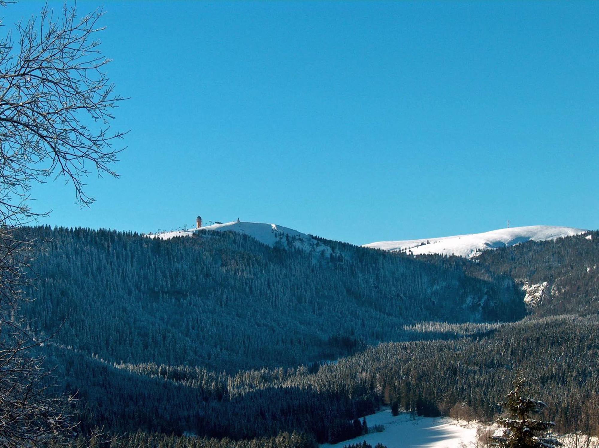 Zur Traube Schwarzwaldhotel & Restaurant Am Titisee Sankt Märgen エクステリア 写真