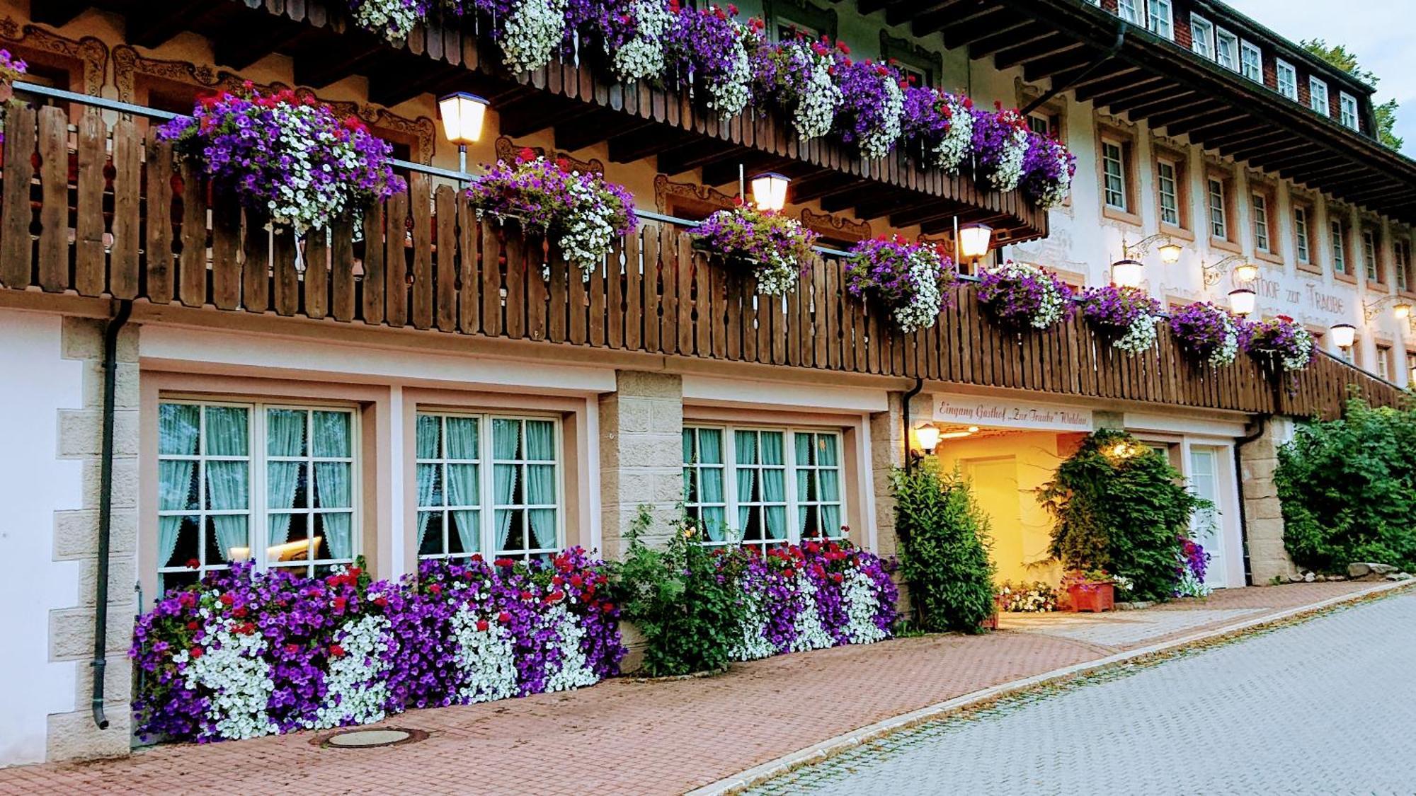 Zur Traube Schwarzwaldhotel & Restaurant Am Titisee Sankt Märgen エクステリア 写真